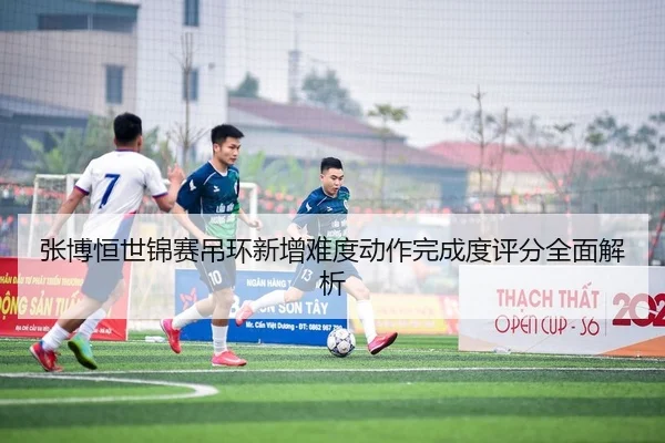 张博恒世锦赛吊环新增难度动作完成度评分全面解析